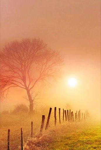 Country Club «Lake Morey Country Club», reviews and photos, 179 Clubhouse Rd, Fairlee, VT 05045, USA