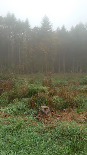 Tierarztpraxis Ohlmeyer unter Pohlheim, Hessen