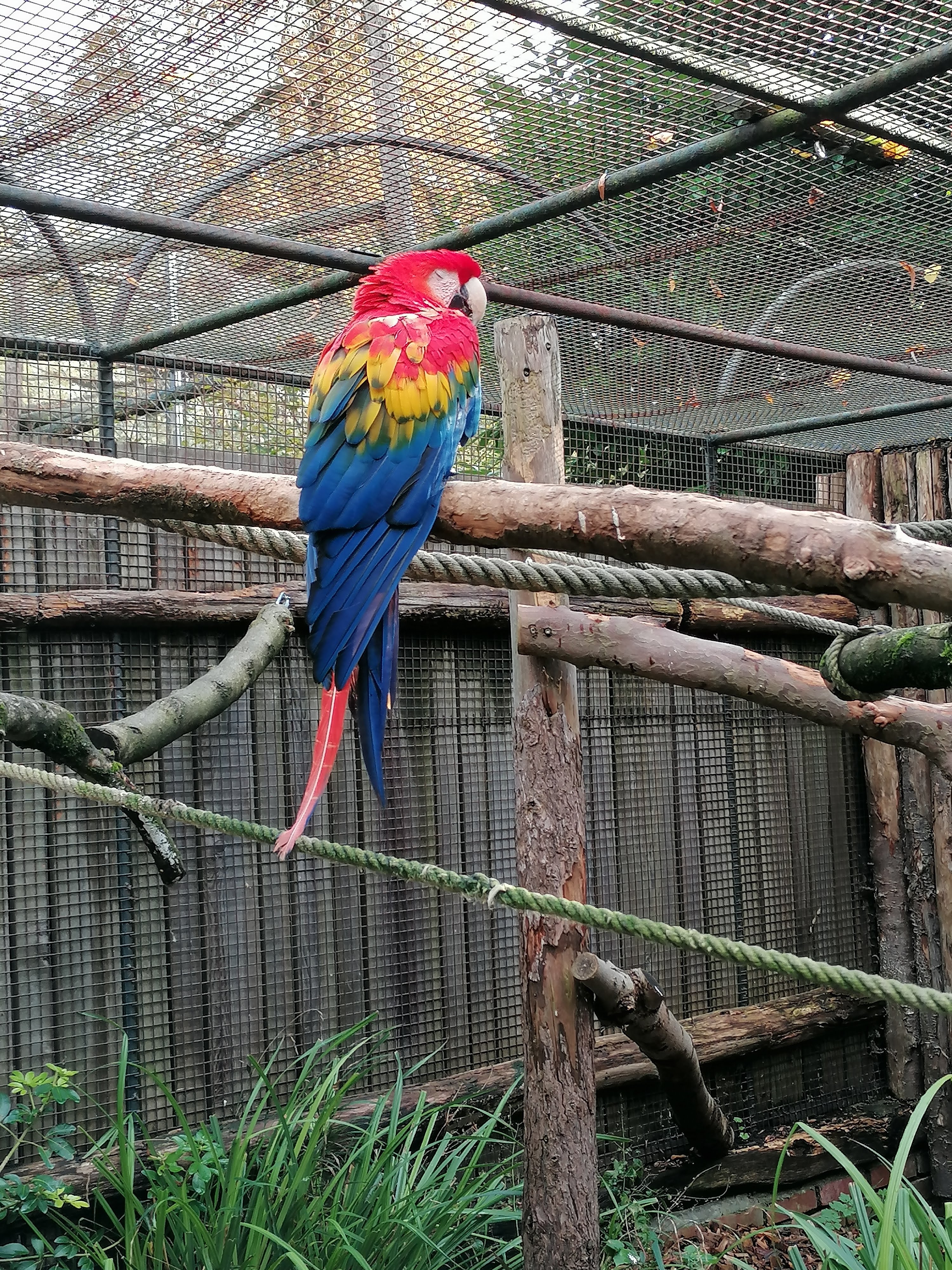 Photo n° 1 de l'avis de Gaele.e fait le 30/10/2023 à 08:36