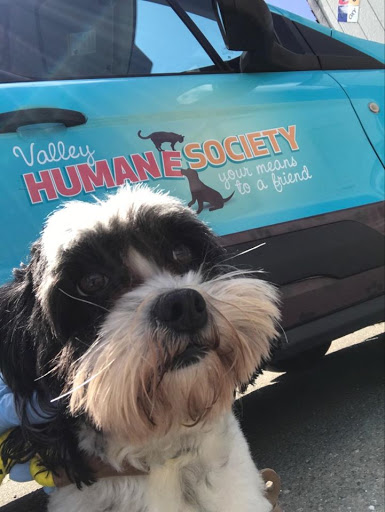 Non-Profit Organization «Valley Humane Society», reviews and photos