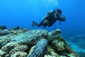 海灣潛水 Bay Dive image