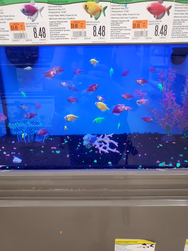 Pet Supply Store «Pet Supplies Plus», reviews and photos, 7041 Barker Cypress Rd, Cypress, TX 77433, USA