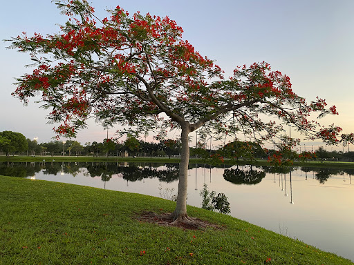 Park «Plantation Central Park», reviews and photos, 9151 NW 2nd St, Plantation, FL 33324, USA