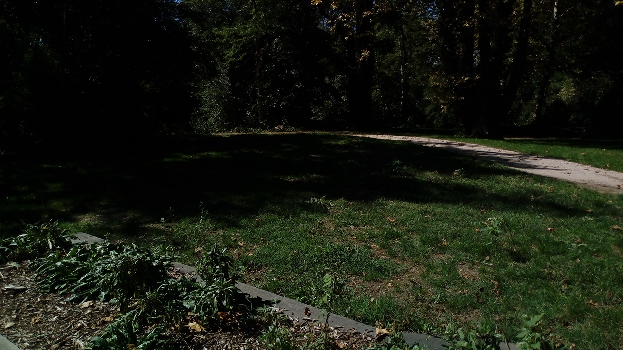 Photo n° 50 de l'avis de Delbart.e fait le 29/09/2019 à 12:17