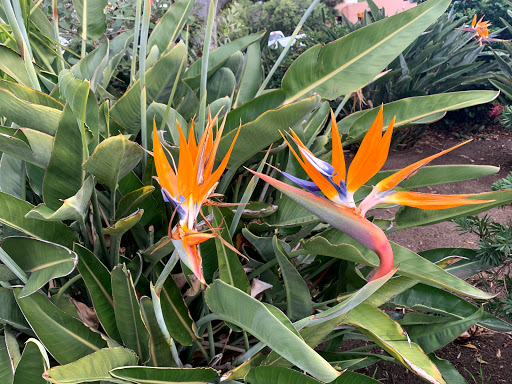 Gift Shop «The Cave Store», reviews and photos, 1325 Coast Blvd, La Jolla, CA 92037, USA