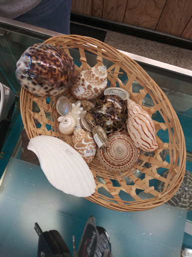 Gift Shop «Treasure Islander Shop», reviews and photos, 301 S Austin St, Rockport, TX 78382, USA