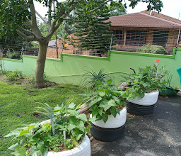 Kings Guest House photo