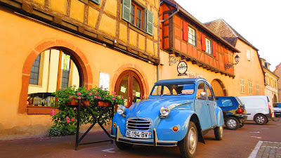 Bruno Hertz SCEA à Eguisheim