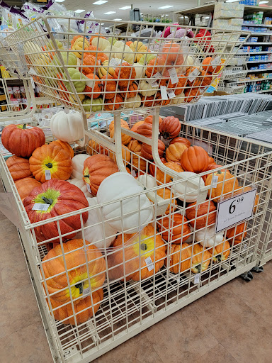 Home Goods Store «Christmas Tree Shops», reviews and photos, 365 US-206, Bridgewater, NJ 08807, USA