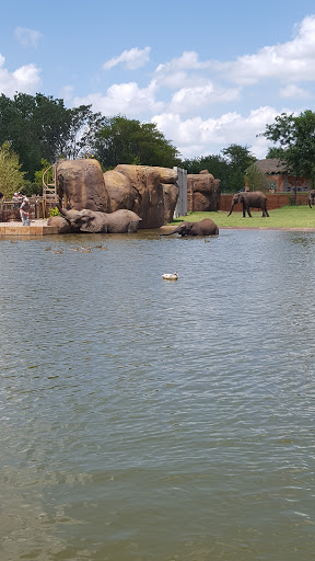 Zoo «Sedgwick County Zoo», reviews and photos, 5555 Zoo Boulevard, Wichita, KS 67212, USA