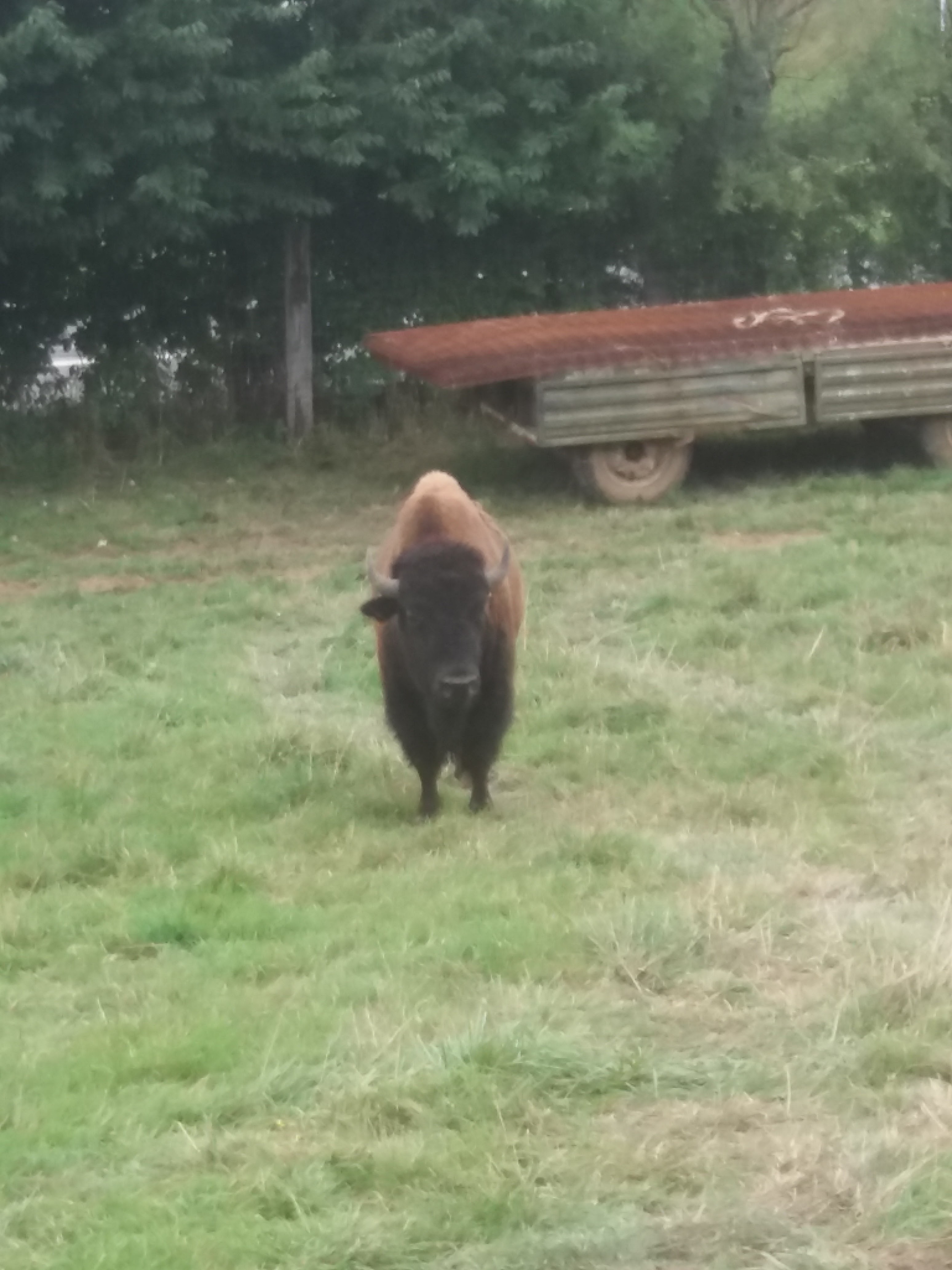 Photo n° 1 de l'avis de Christian.e fait le 13/08/2019 à 17:10