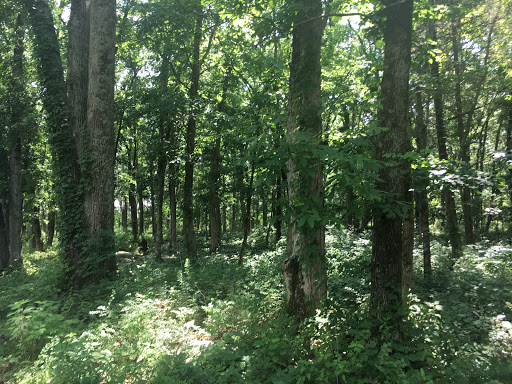 National Park «Stones River National Battlefield», reviews and photos, 3501 Old Nashville Hwy, Murfreesboro, TN 37129, USA