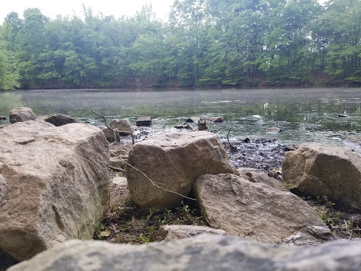 Nature Preserve «Three Lakes Park & Nature Center», reviews and photos, 400 Sausiluta Dr, Richmond, VA 23227, USA