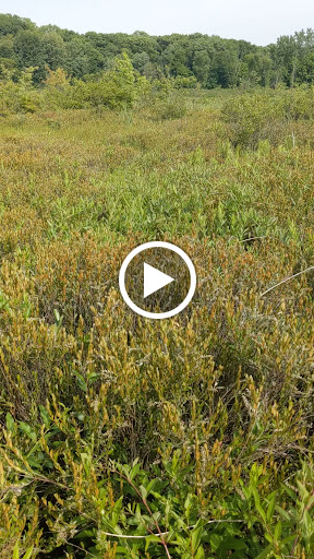 Nature Preserve «Mud Lake Bog Nature Preserve», reviews and photos, 905 E Elm Valley Rd, Buchanan, MI 49107, USA