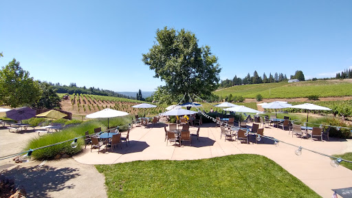 Winery «Lava Cap Winery», reviews and photos, 2221 Fruitridge Rd, Placerville, CA 95667, USA