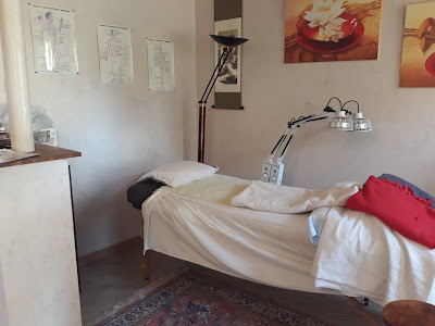 Acupuncture Chinoise 02 - Sophie VAN WIJK à Achery