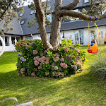 Photo n°1 de l'avis de Uta.a fait le 20/10/2020 à 21:44 sur le  Hotel Wiesbaden à Wenningstedt-Braderup