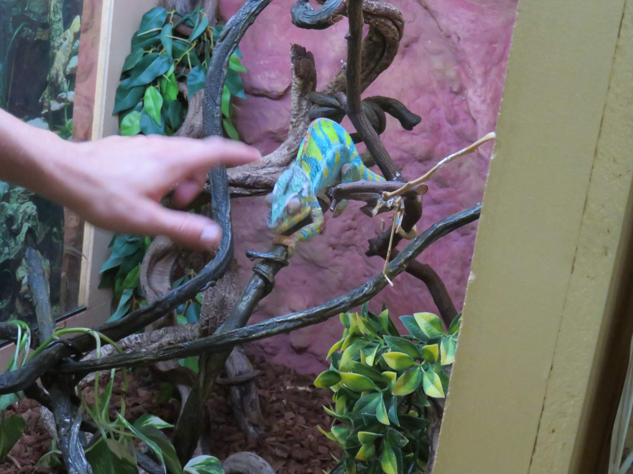 Photo n° 13 de l'avis de Joelle.o fait le 19/07/2019 à 12:55