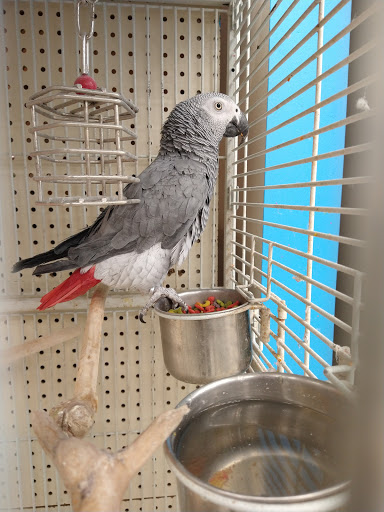 Pet Supply Store «Pet Supplies Plus», reviews and photos, 2160 Anderson Rd, Petoskey, MI 49770, USA