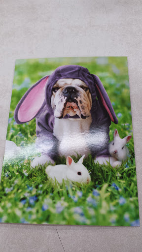 Pet Supply Store «Pet Supplies Plus», reviews and photos, 1856 Hendersonville Rd a, Asheville, NC 28803, USA