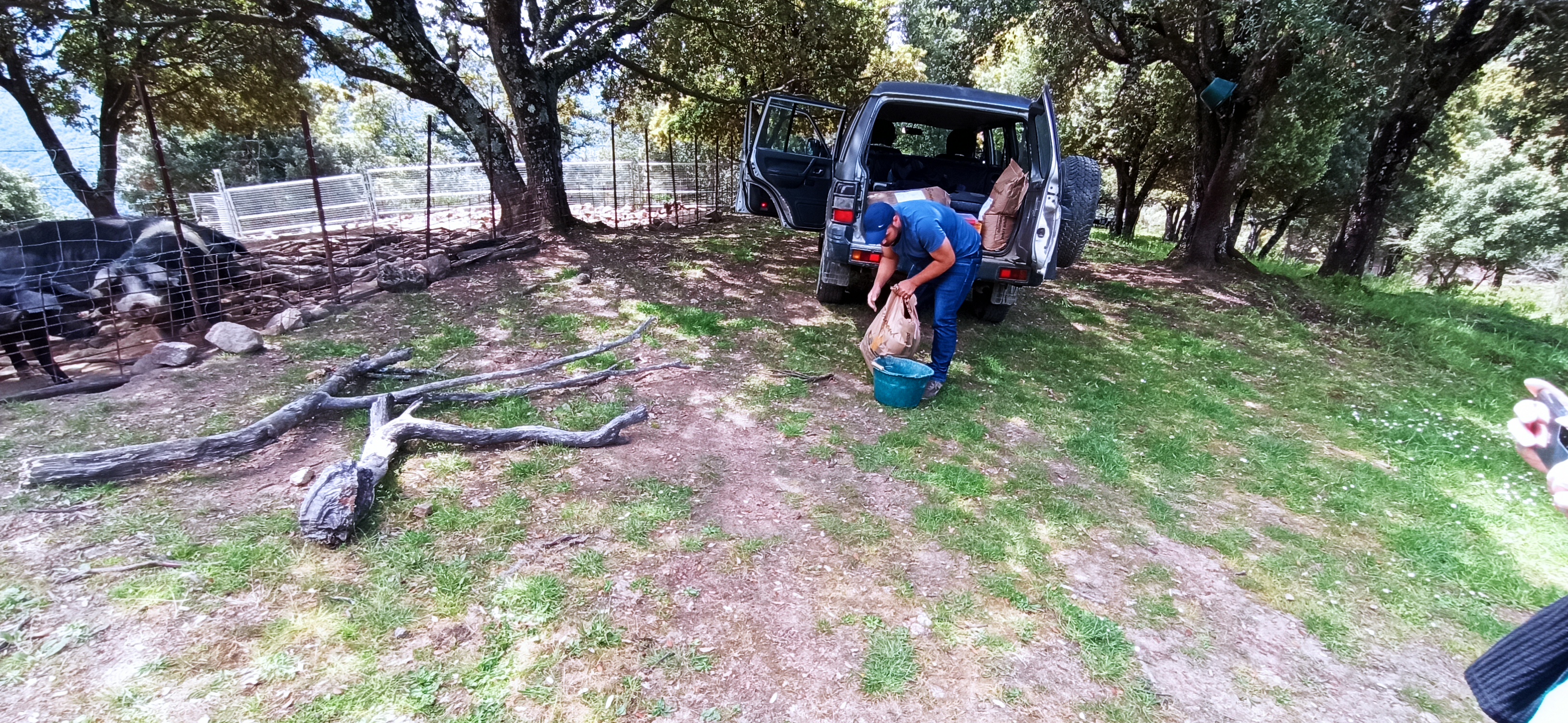 Photo n° 1 de l'avis de Patrick.e fait le 13/05/2023 à 12:17