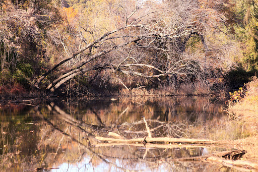National Park «Kenilworth Park», reviews and photos, 1505 Ancostia Ave NE, Washington, DC 20019, USA