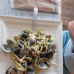 Photo n°3 de l'avis de moreno.a fait le 27/09/2023 à 20:12 sur le  Ristorante Al Campiello à Cavallino-Treporti