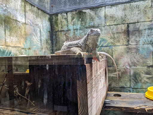 Aquarium «Aquarium Tarpon Springs», reviews and photos, 850 Dodecanese Blvd, Tarpon Springs, FL 34689, USA