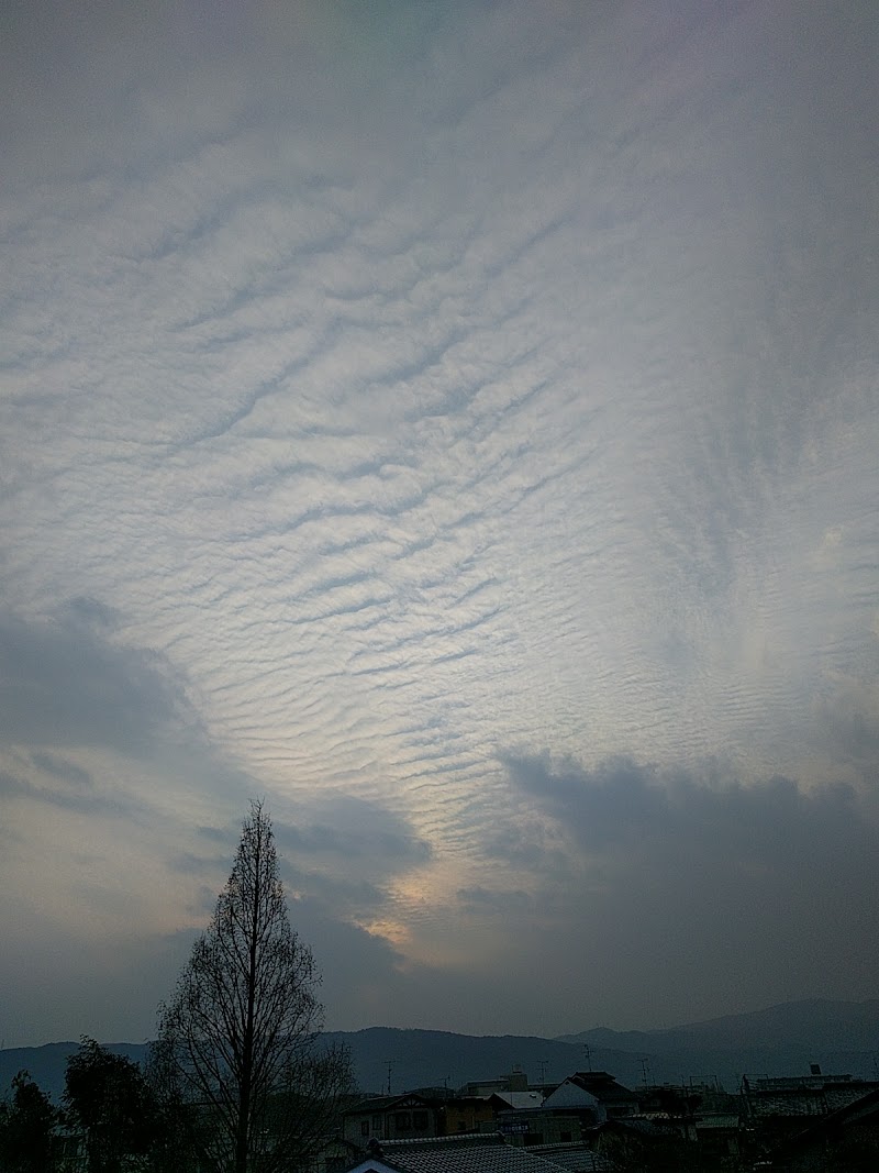 南浦北公園