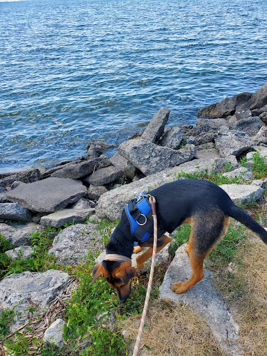 Park «Ruedisale Point Park», reviews and photos, 50400 Ruedisale St, New Baltimore, MI 48047, USA