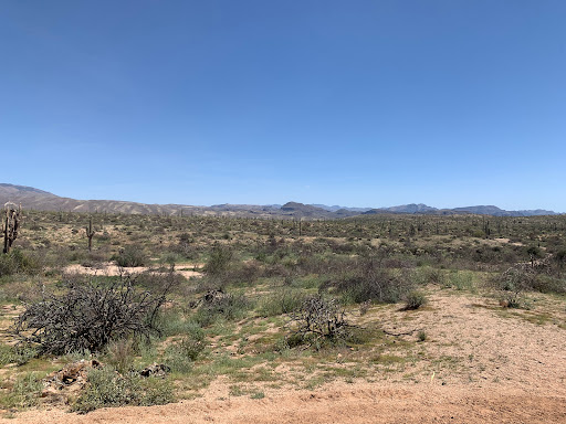 Tour Operator «Stellar Adventures», reviews and photos, 4026 E Broadway Rd, Phoenix, AZ 85040, USA