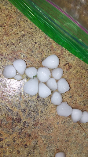 Community Center «Pleasant Grove Recreation Center», reviews and photos, 547 S Locust Ave, Pleasant Grove, UT 84062, USA