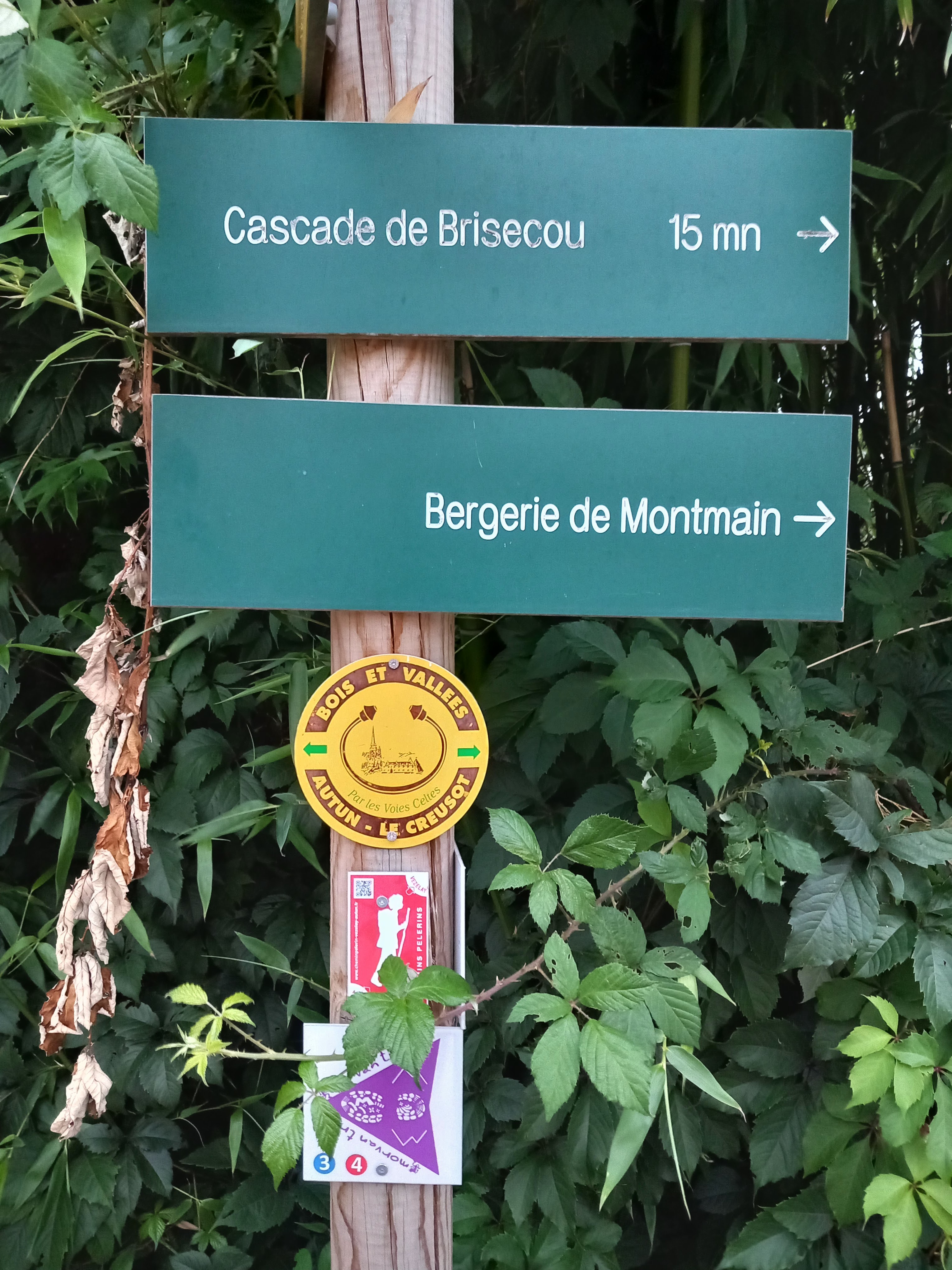 Photo n° 11 de l'avis de C.G fait le 27/08/2023 à 13:41