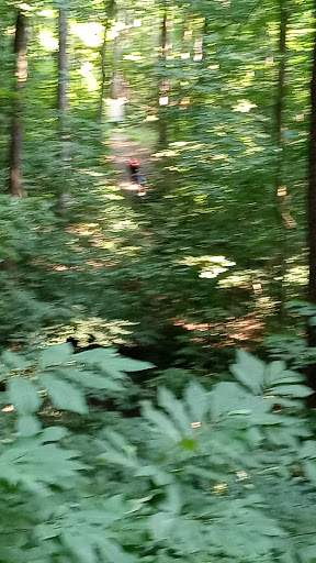 Tourist Attraction «Adventureworks Zipline Forest», reviews and photos, 4129 Whites Creek Pike, Whites Creek, TN 37189, USA