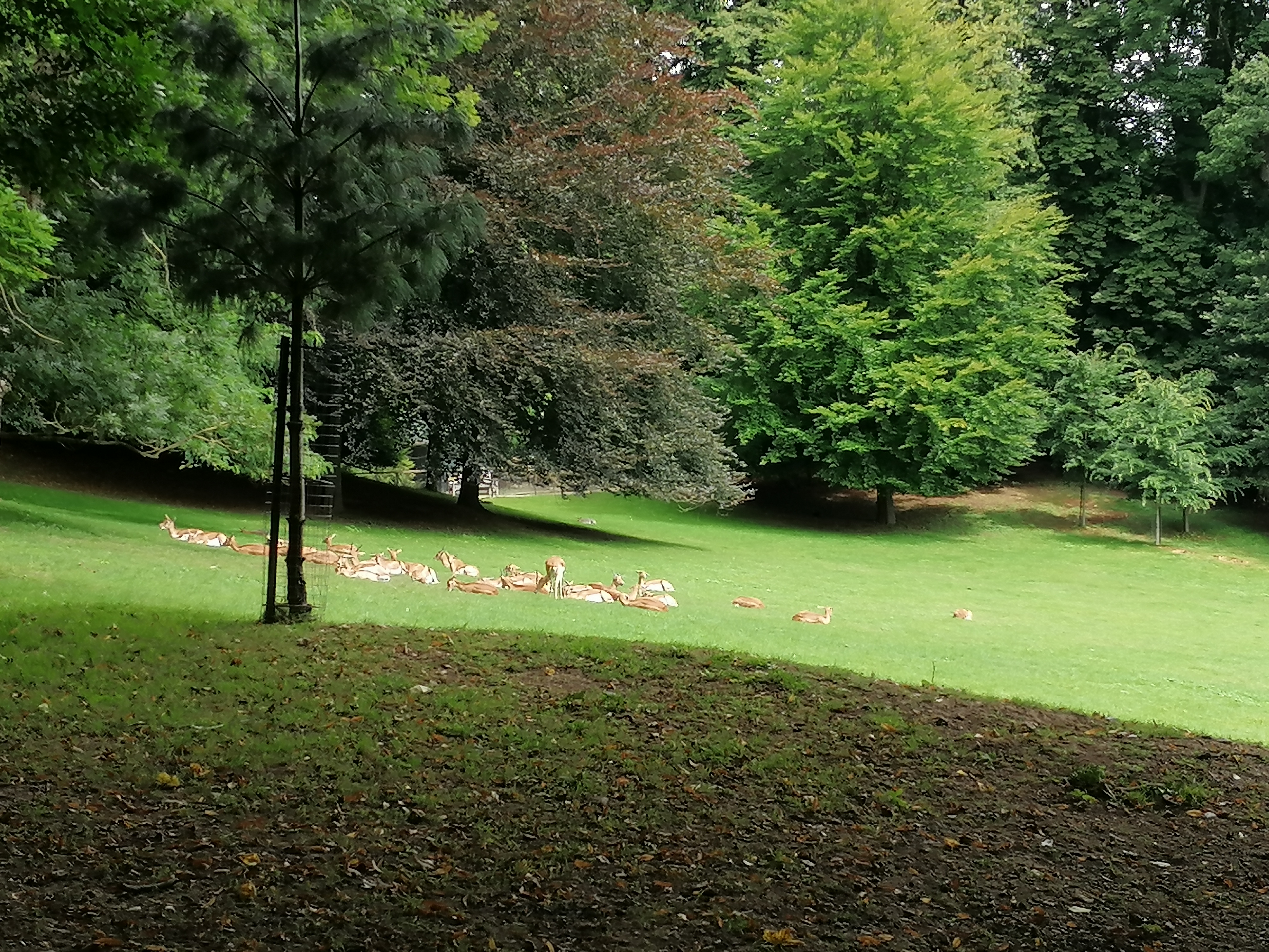 Photo n° 2 de l'avis de Amandine.e fait le 19/08/2021 à 13:40