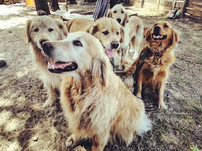 Bonita Manada Hospedaje Canino