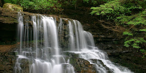 Laurel Run Park