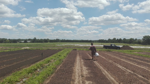 Produce Market «Blue Moon Acres», reviews and photos, 11 Willow Creek Dr, Pennington, NJ 08534, USA