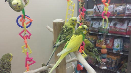 Pet Supply Store «Petco Animal Supplies», reviews and photos, 247 N Washington Hwy, Ashland, VA 23005, USA