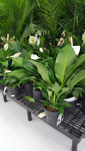 Department Store «Walmart Supercenter», reviews and photos, 28804 Gratiot Ave, Roseville, MI 48066, USA