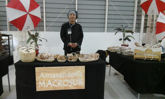 Opiniones de Amasandería MacroSur en Valdivia - Panadería