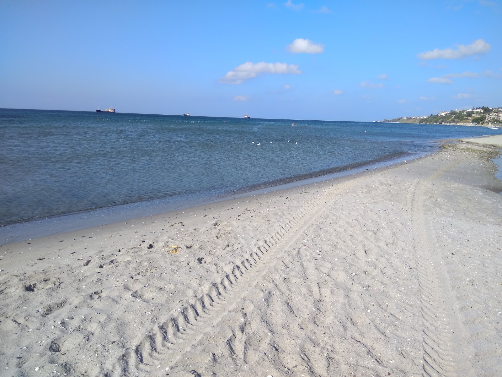 Foto de Dallas beach com relativamente limpo nível de limpeza