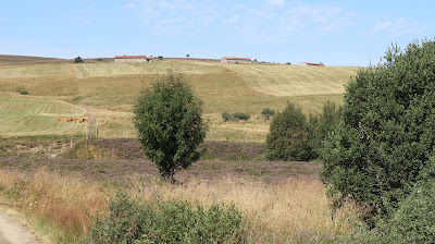 Evasions Foreziennes à Saint-Bonnet-le-Courreau