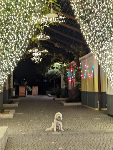 Shopping Mall «Fourth Street Shops», reviews and photos, 1834 Fourth St, Berkeley, CA 94710, USA