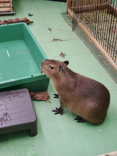 ZOO Yotsuya