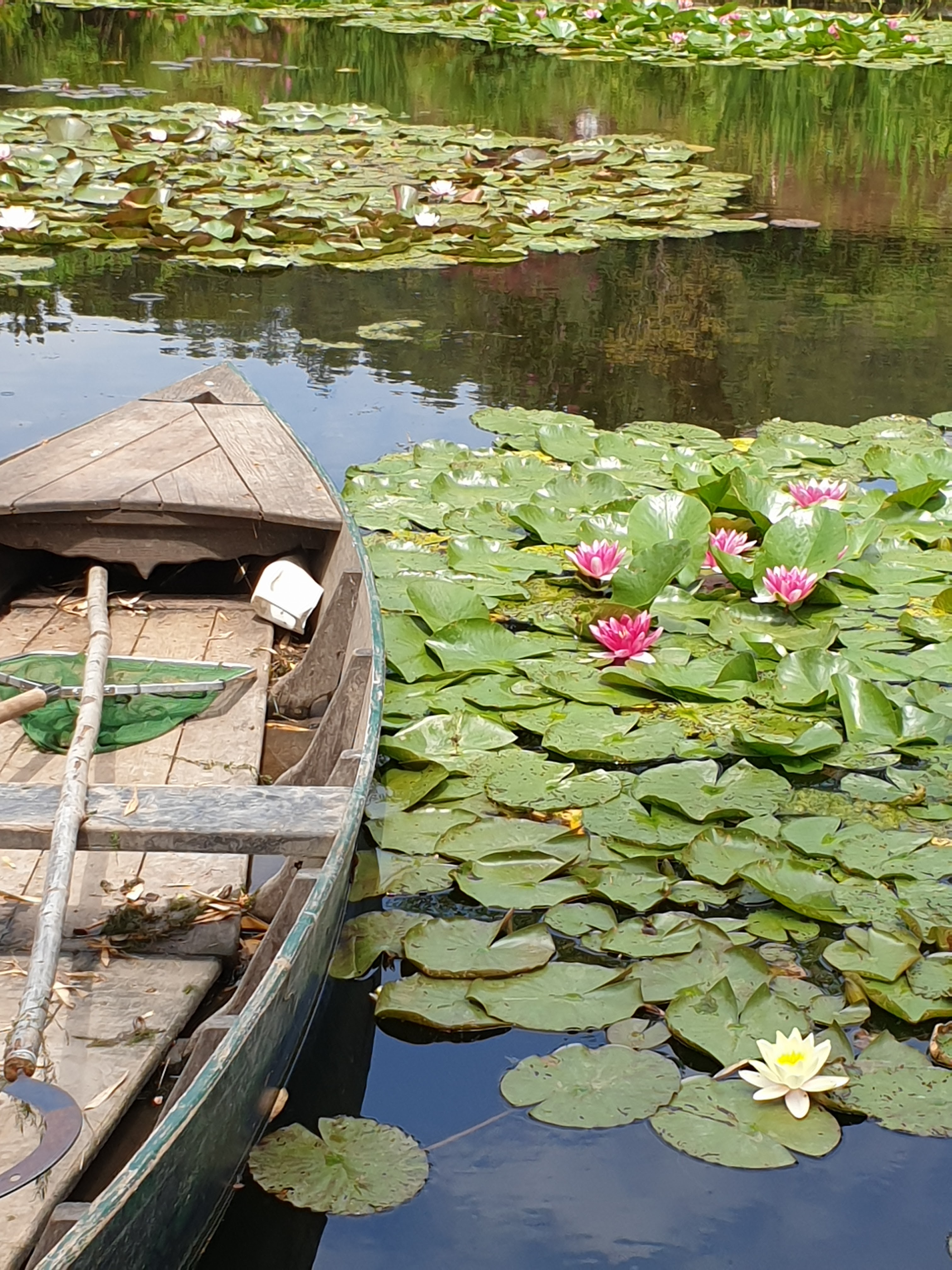 Photo n° 2 de l'avis de Vero.o fait le 12/06/2023 à 18:19