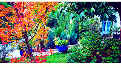 Jardines Sol Premium en Zaragoza, Zaragoza