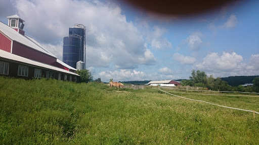 Winery «Boyden Valley Winery & Spirits», reviews and photos, 64 VT-104, Cambridge, VT 05444, USA