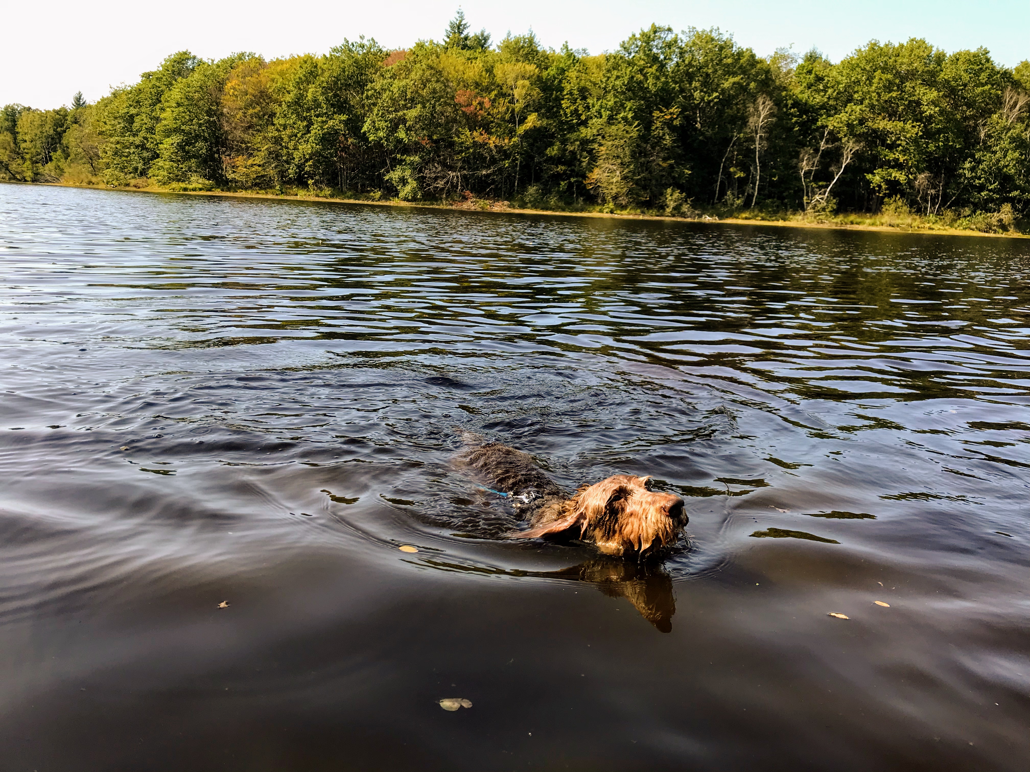 Photo n° 1 de l'avis de Elke.h fait le 17/09/2019 à 09:03