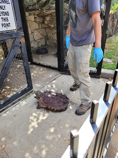 Zoo «Kansas Wildlife Exhibit», reviews and photos, 600-630 Nims N, Wichita, KS 67203, USA